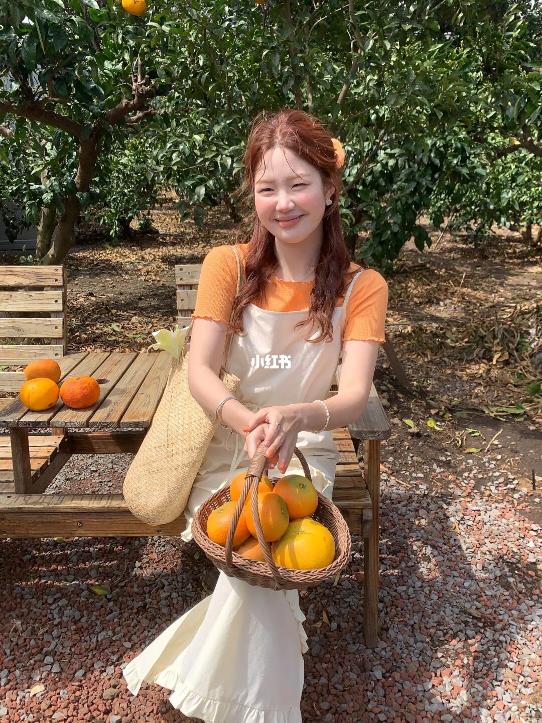 掉进橘色的夏天里