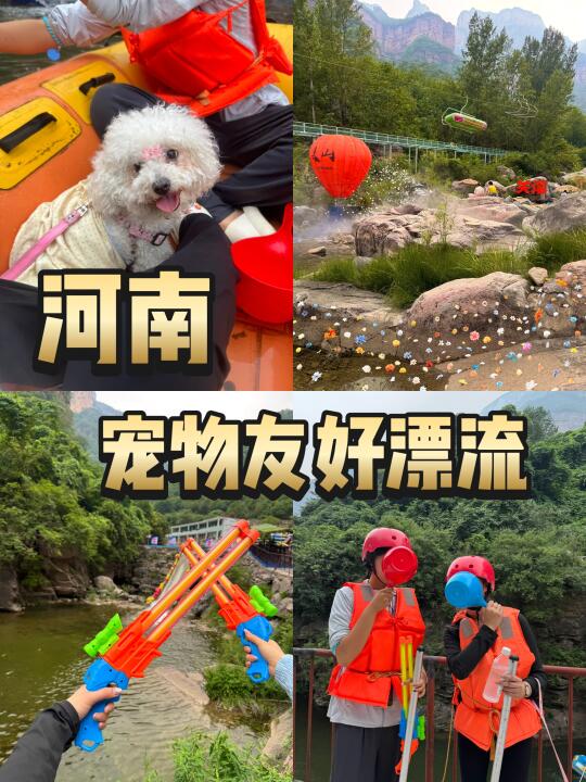 夏天带着毛孩子漂流 是种什么体验！！