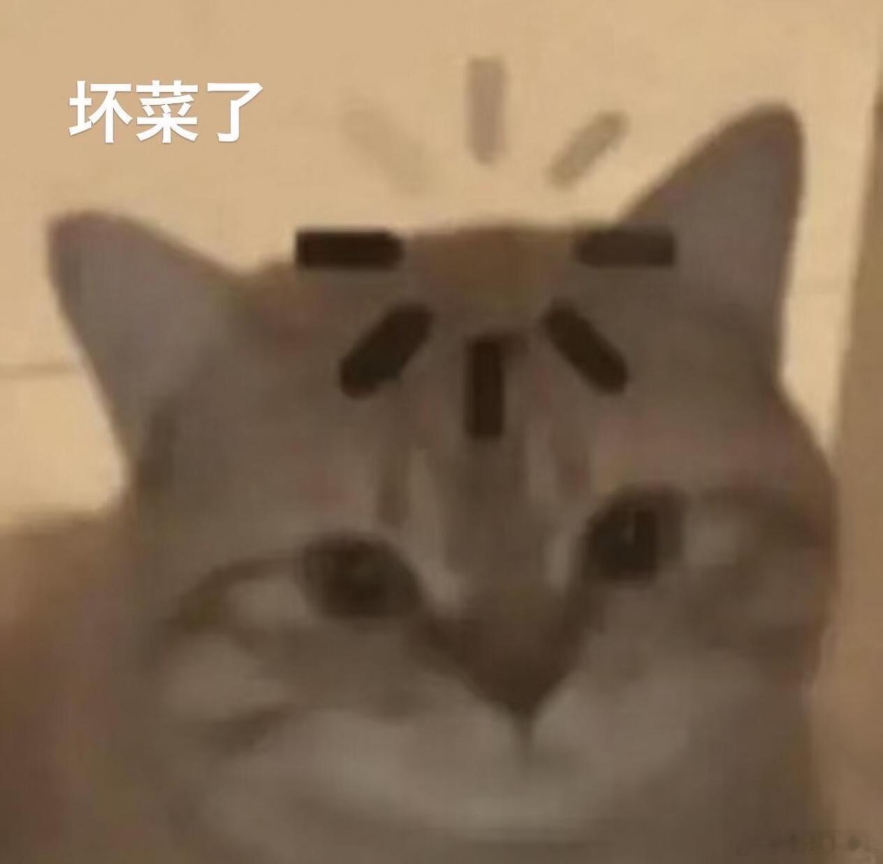 存储芯片涨价失控身边有个朋友准备换机来着，但是一看最近各家的旗舰手机，价格都比较