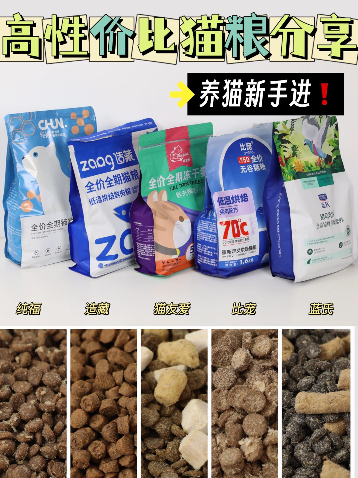 高性价比猫粮分享｜养猫新手进！