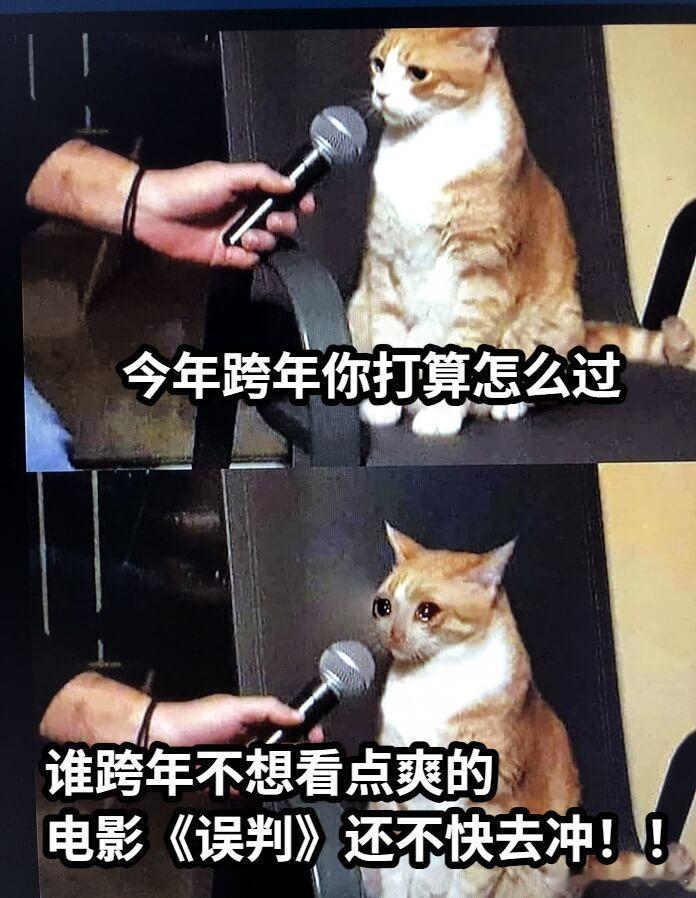 电影误判跨年视频  甄子丹是我的新年嘴替  甄子丹的祝福真是说到我心坎里去了，新