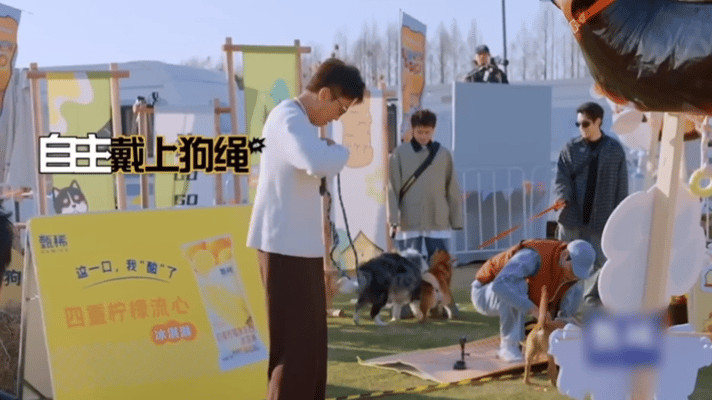 别人遛狗邓超被狗遛，只因土豆只顾干饭不搭理，超哥无奈拴绳在脖子上，佛系配合的样子