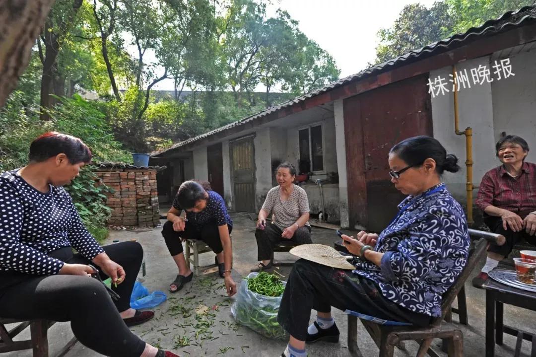 小院住着五户不同姓氏的家人，但是，情意浓浓，如同一家人！