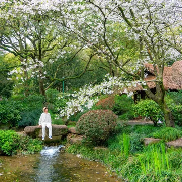 陈野漫游