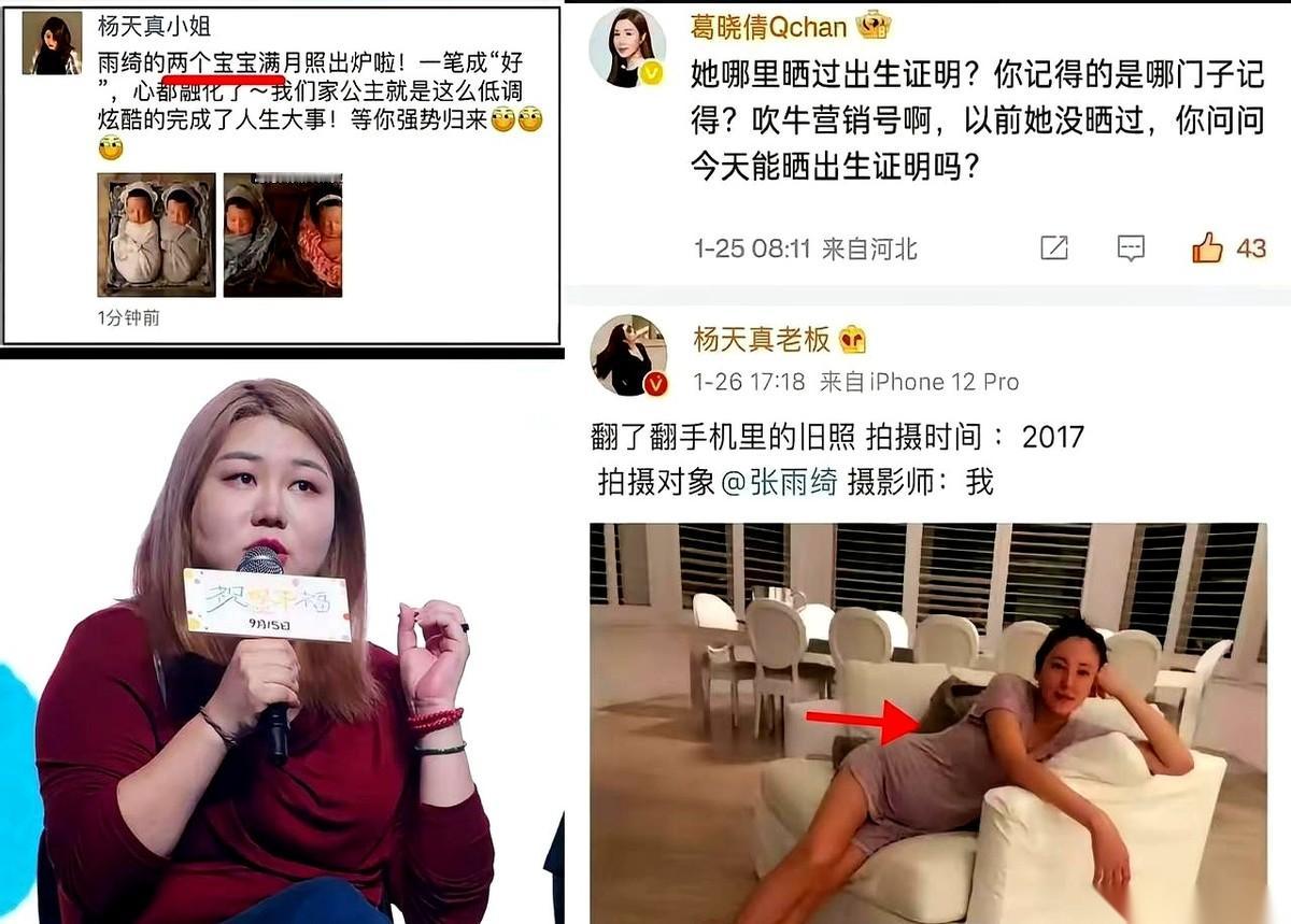 关于张雨绮那场代孕风波，最离谱的点，不是传闻本身，而是最后失控的走向。
一开始，