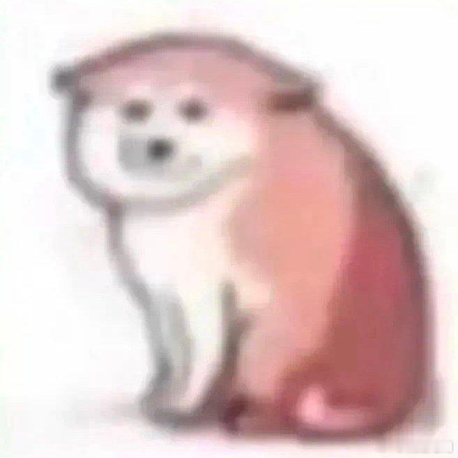 亲爱的自己我也不太明白你 