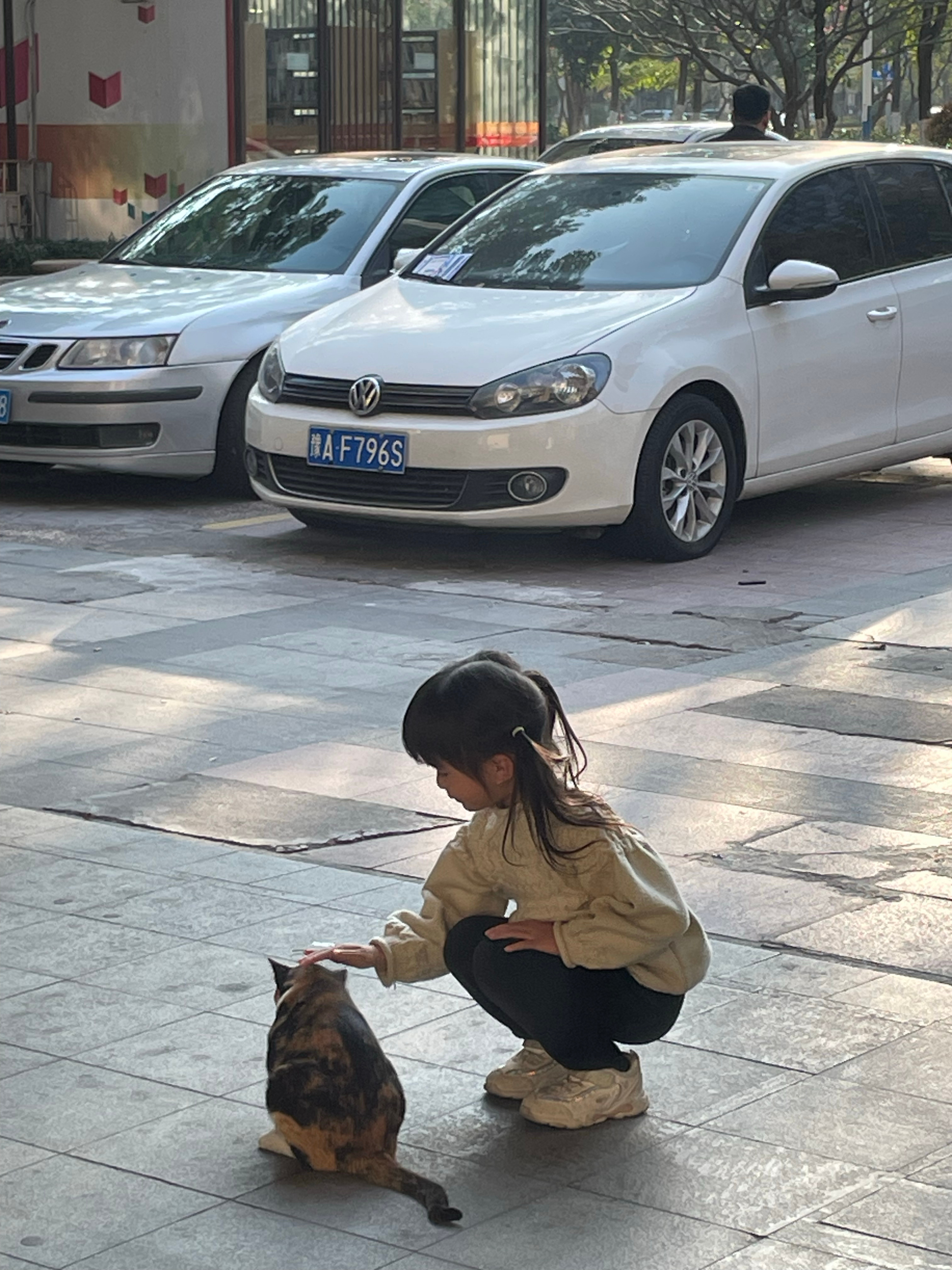 无敌喜欢小动物的妹妹不仅限于猫，狗，仓鼠，这类常规宠物，连蚯蚓都问我可不可以带回