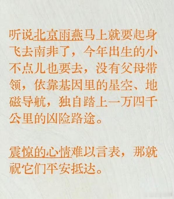 当你左思右想、左右为难地想做选择的时候，其实你已经失去了选择的资格。真正的选择只