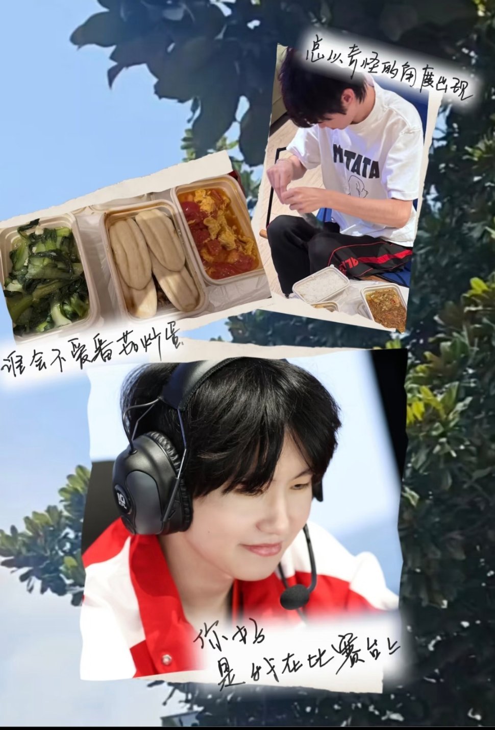 谁会不爱番茄炒蛋呢 