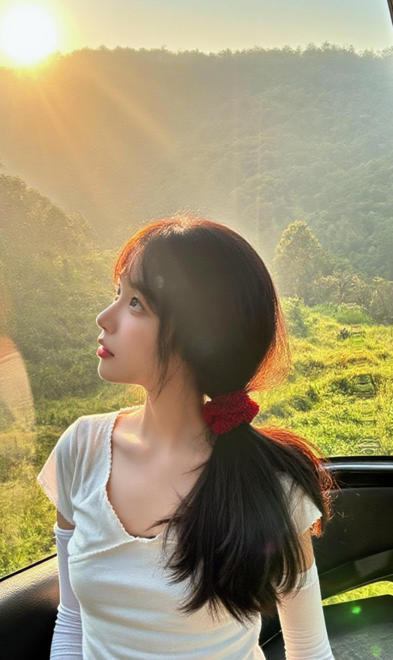 如果我是一棵树…