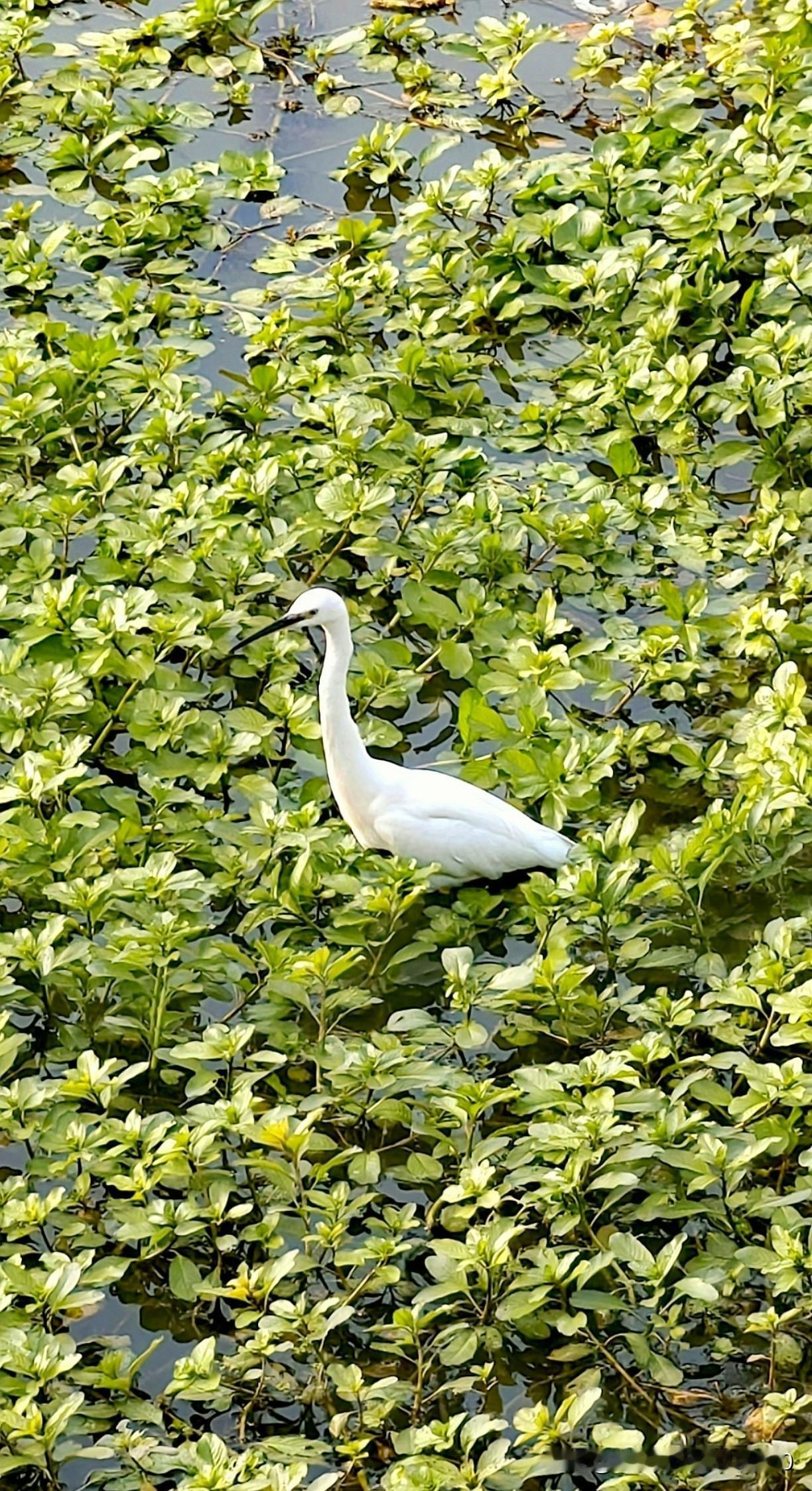 我热衷于随手拍！
这些随手拍，记录着生活里的邂逅与刹那，每一回翻看，都能忆起那时