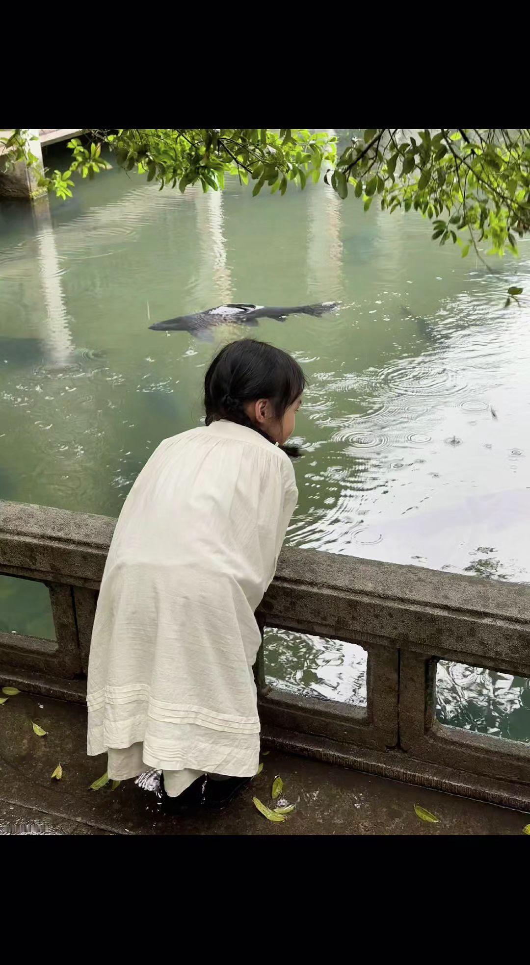 🌿指尖轻触水面，涟漪便偷走了时光⏳。锦鲤驮着云影游过，她的心事沉成湖底的星✨。