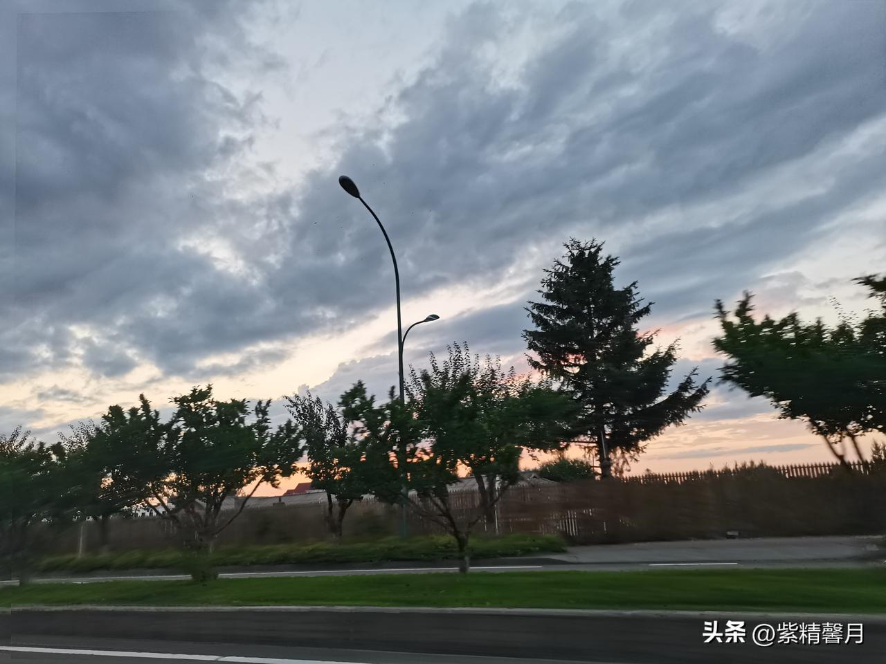 自驾穿行二道白河的林间公路实在治愈，整座小镇被成片原生美人松环抱，笔直红棕树干遮