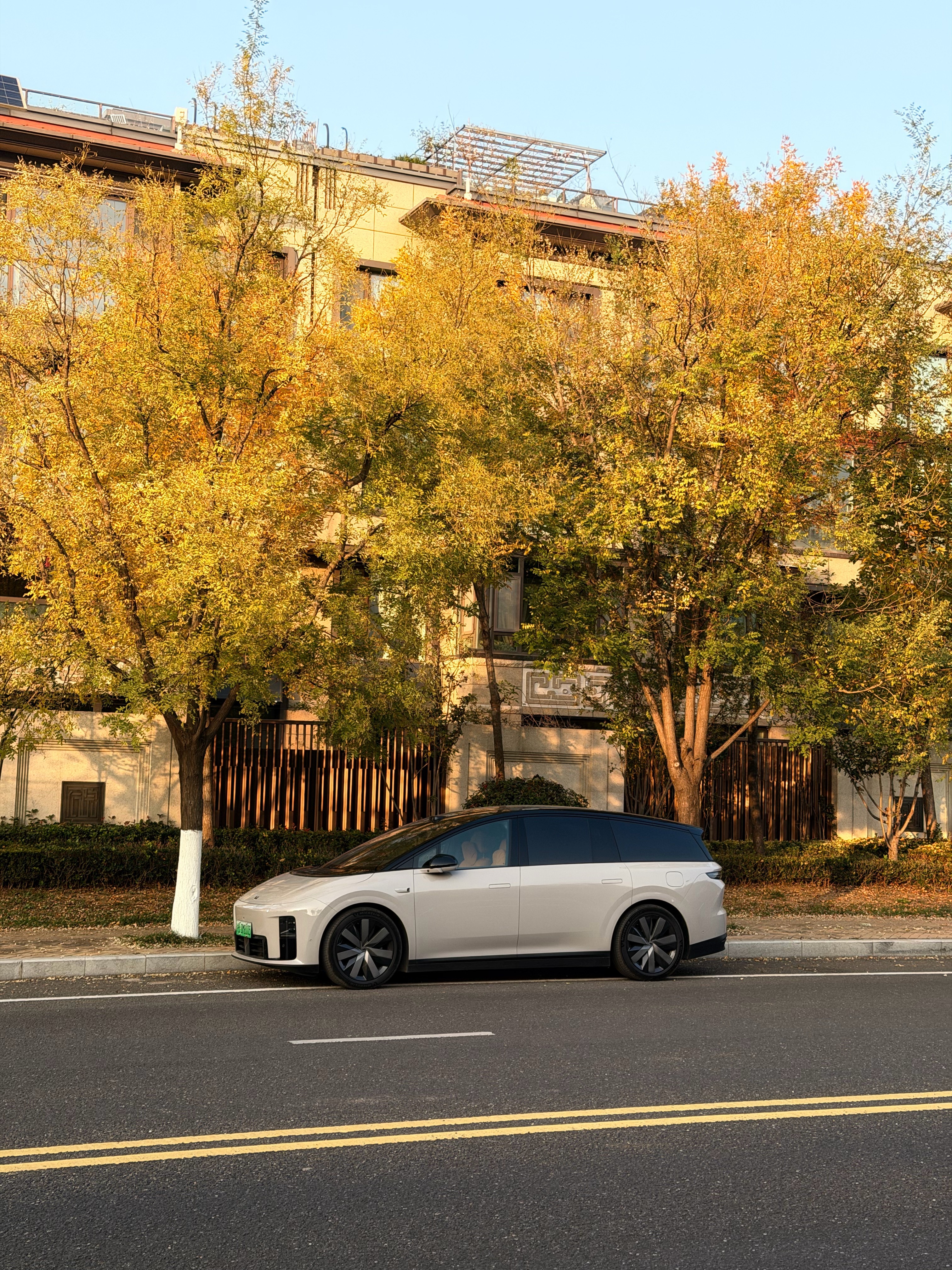 秋天到了，家门口的落叶和理想i8提车一个多月，越看越好看了 