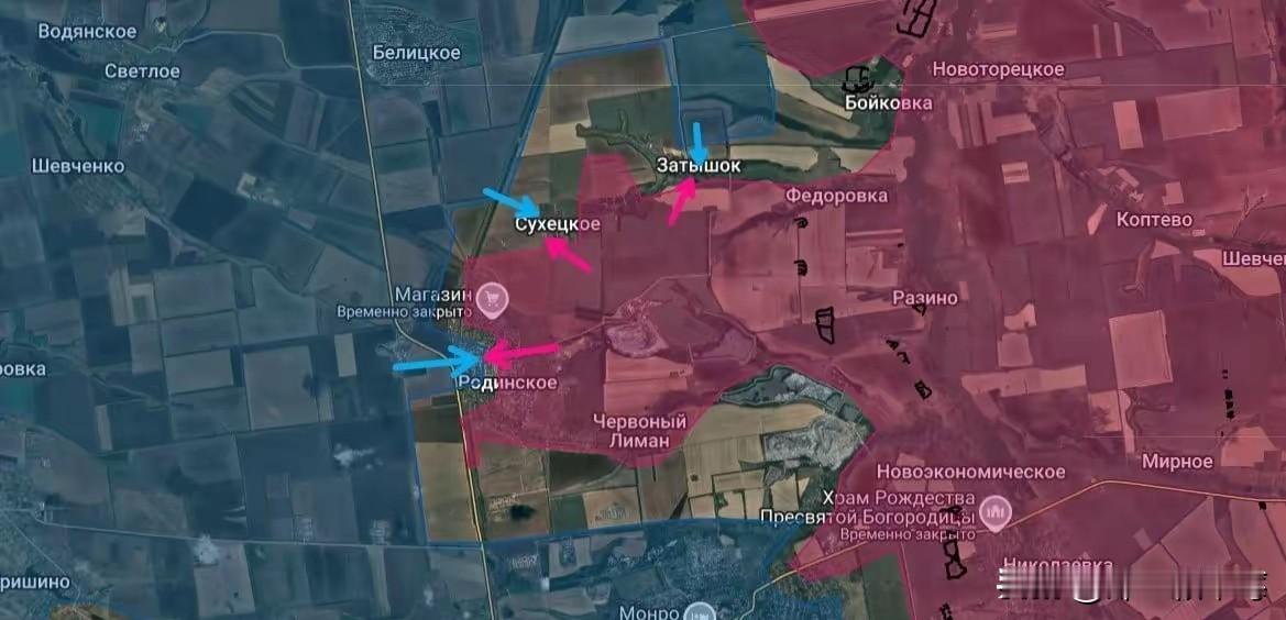 今天（11月5日），
大蟋蟀（乌军总司令瑟尔斯基）再次组织大量乌军分三路向罗金西