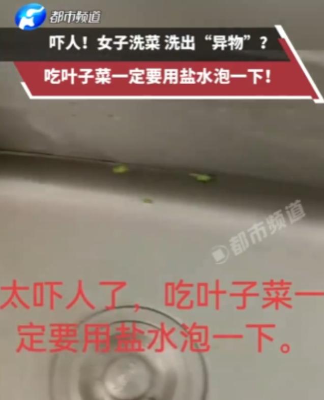 “太吓人了！”重庆，一女子在家清洗空心菜时，将菜叶捞出后竟发现水池底部躺着一条细