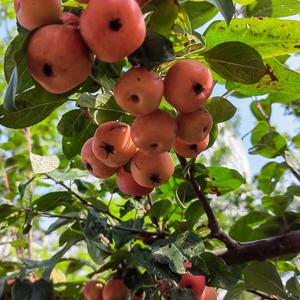 谁的生活很完美