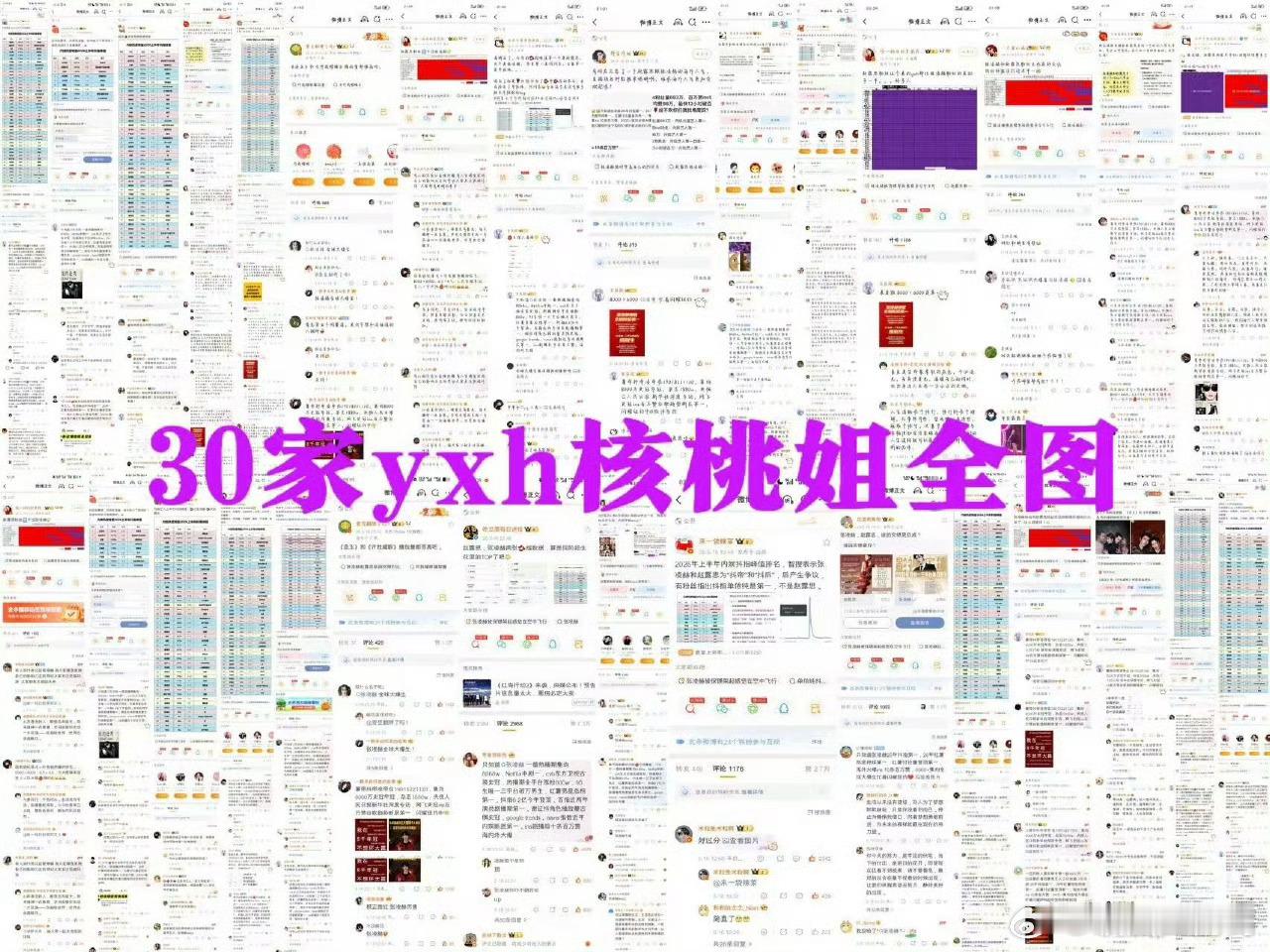 张凌赫粉丝赵露思粉丝交流总结 