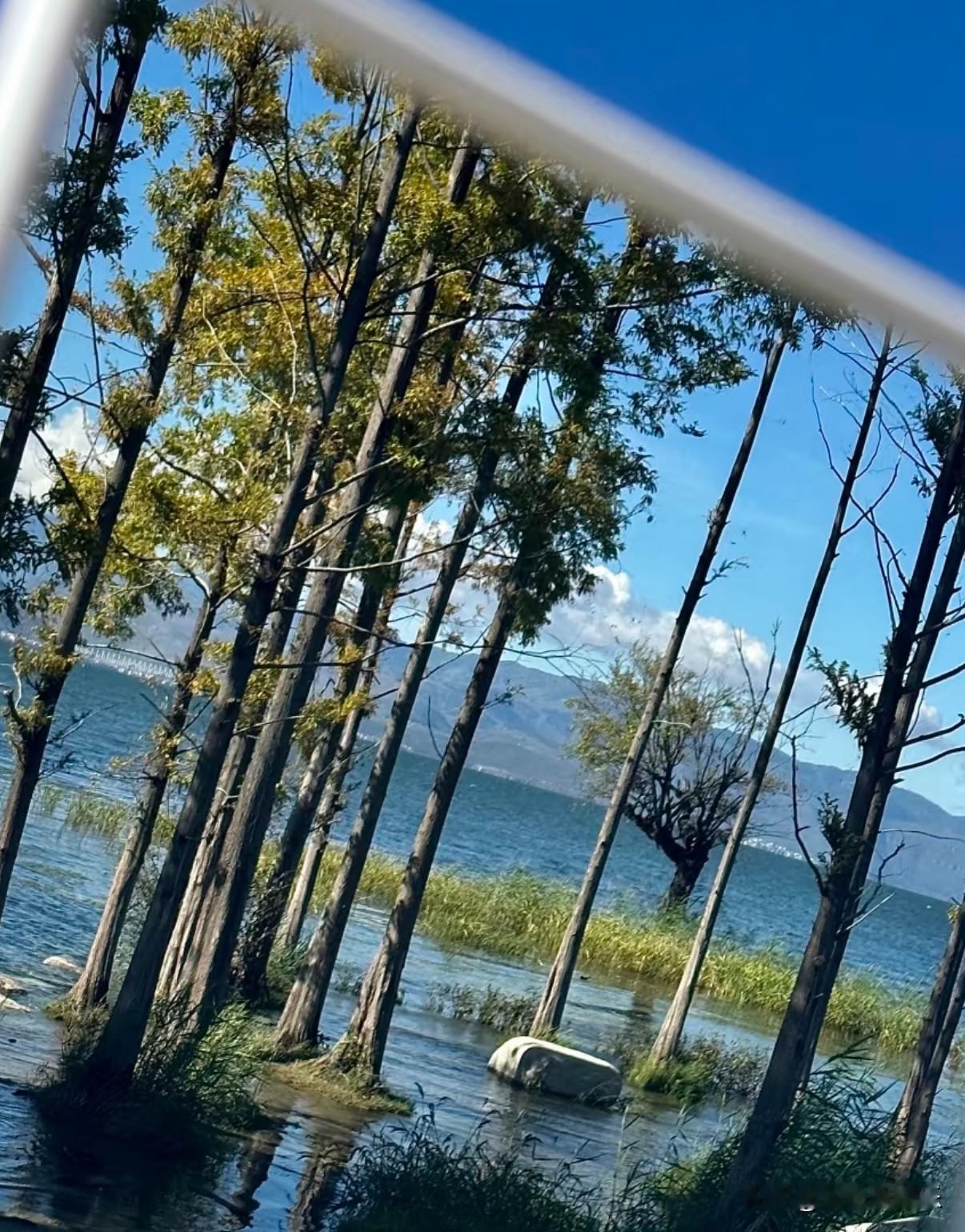 最刺激的四件事：  
第一，跟天蝎谈恋爱；  
第二，征服天蝎；  
第三，控制