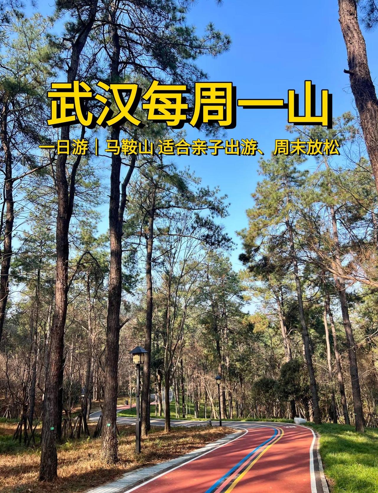 武汉每周一山，今天是马鞍山森林公园！🌸被誉为“东湖畔城市绿肺”，坐落于武汉市洪