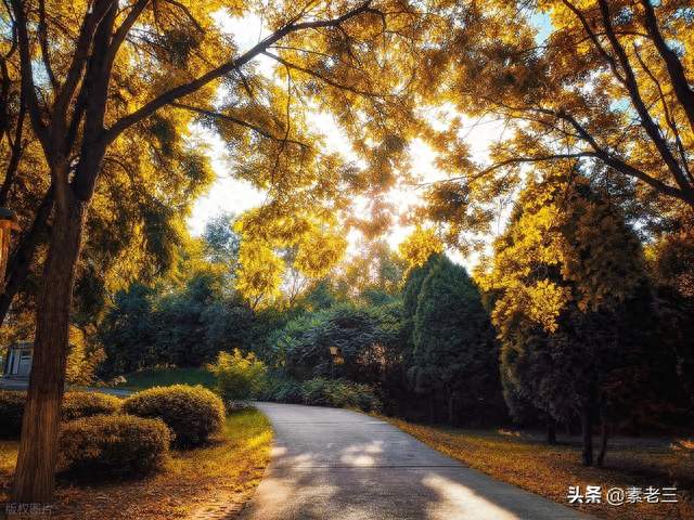 立秋的晚年——私生子（9）