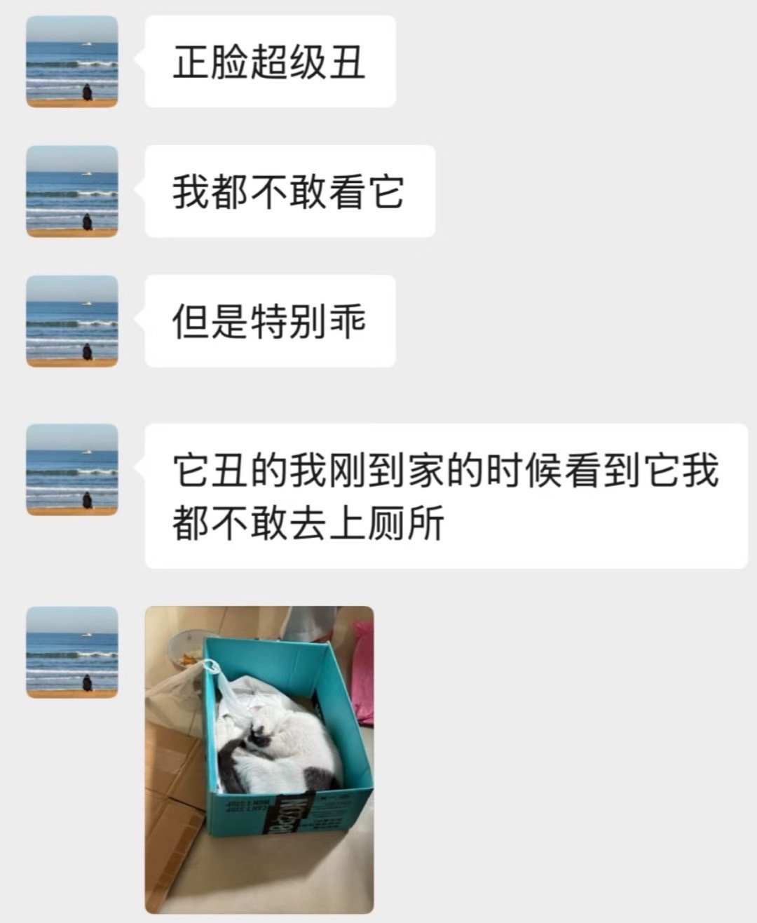 朋友捡来的猫能有多丑 ​​​
