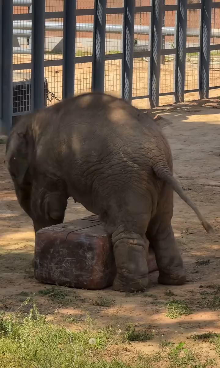 要走。