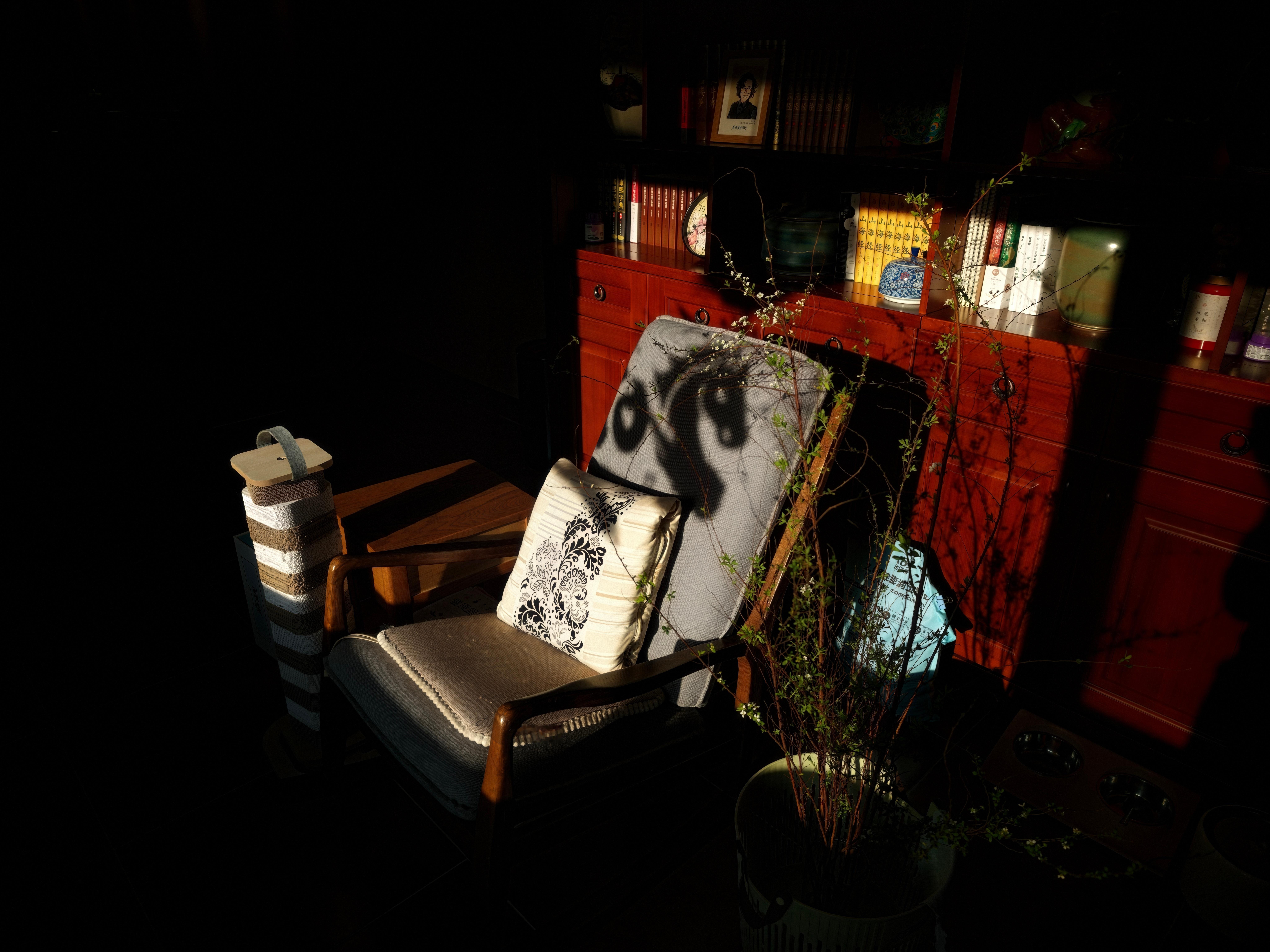 今天终于不是阴天了 