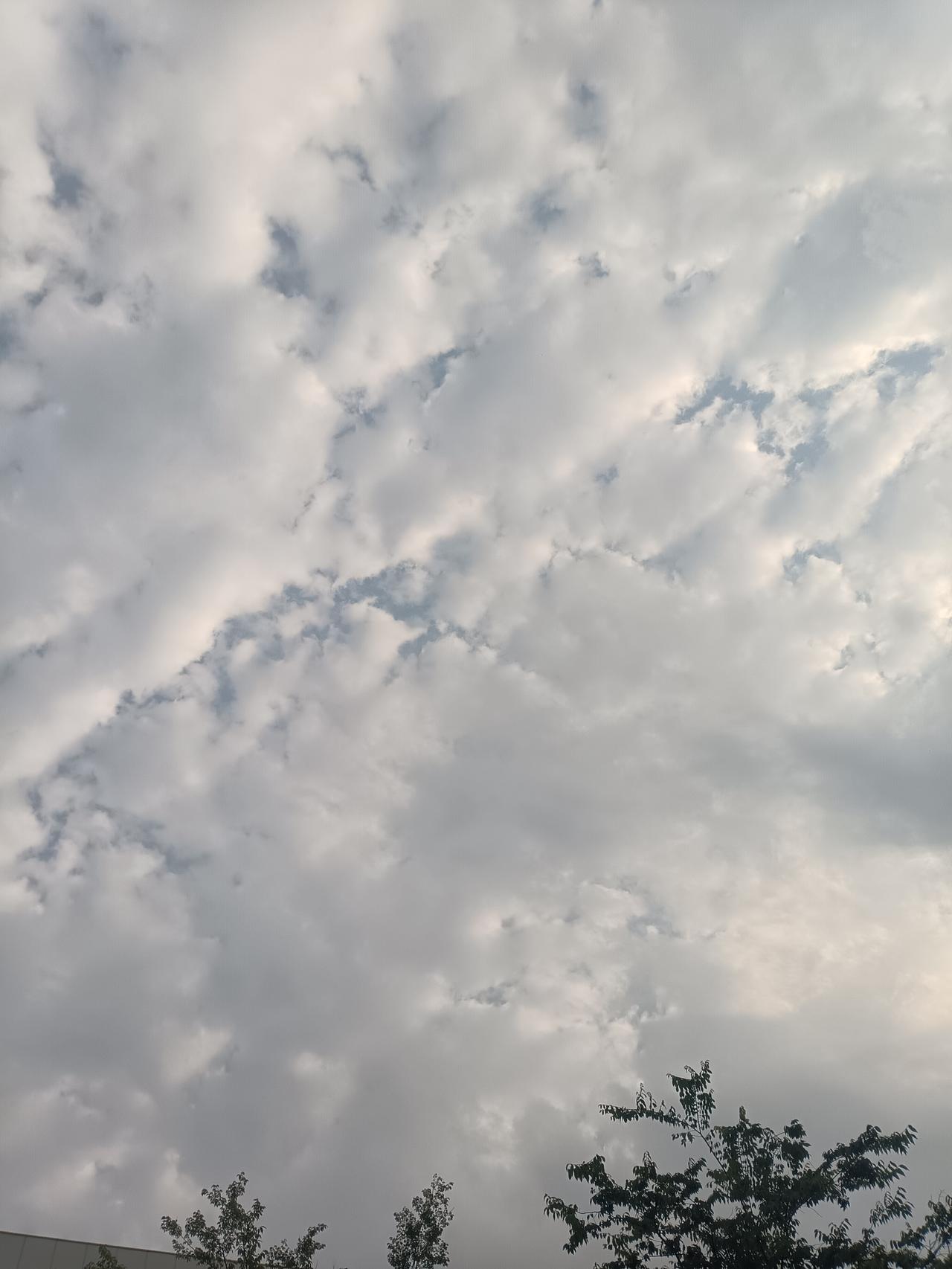 分享一下你随手拍下的清晨的天空晨云如絮，轻覆天幕，微光穿隙，树影静候。一日之始，