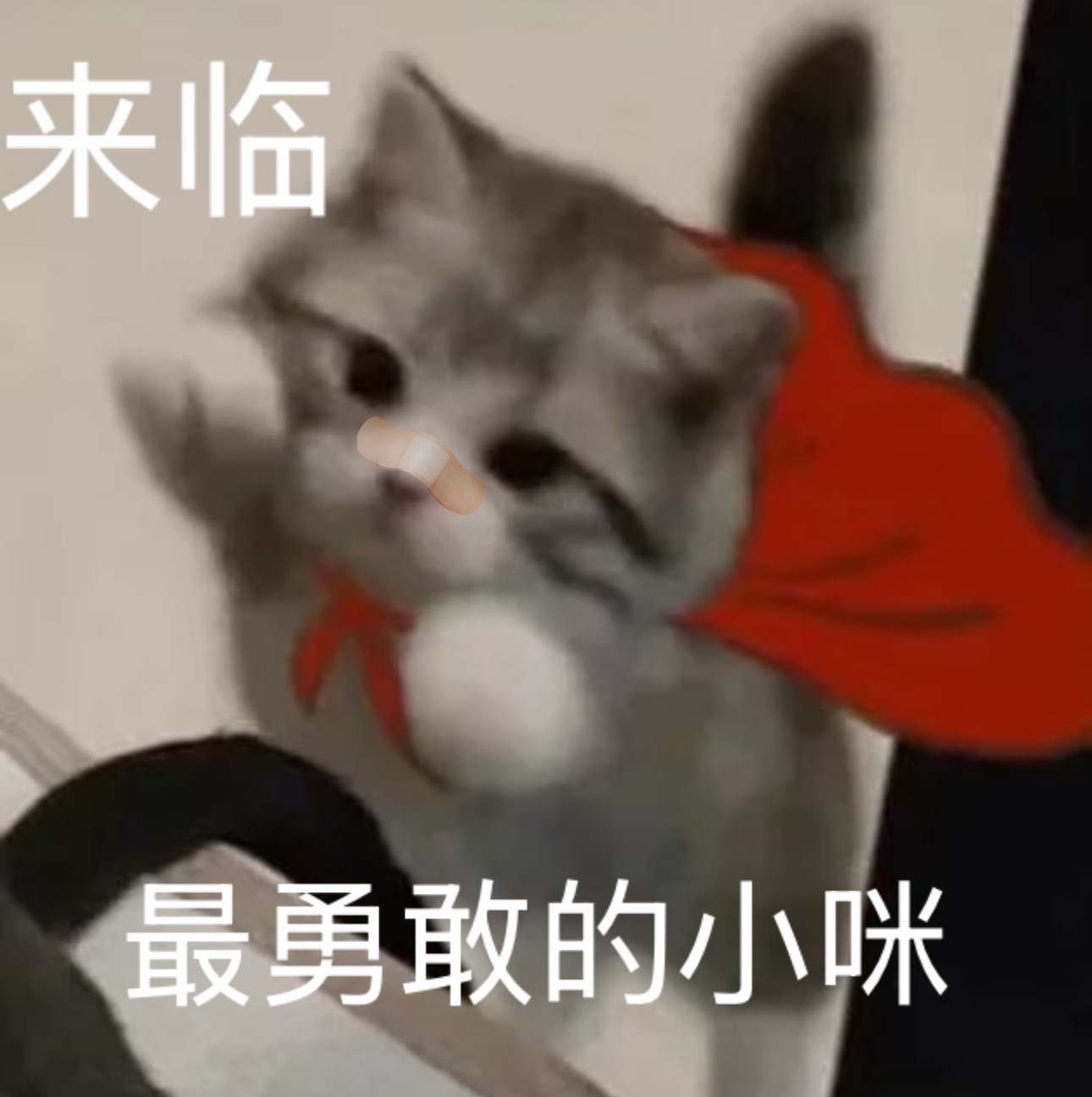 诶 感慨 清白野心家向来如此 想要握住角色 就只能付出一切可付出的牺牲 没有例外