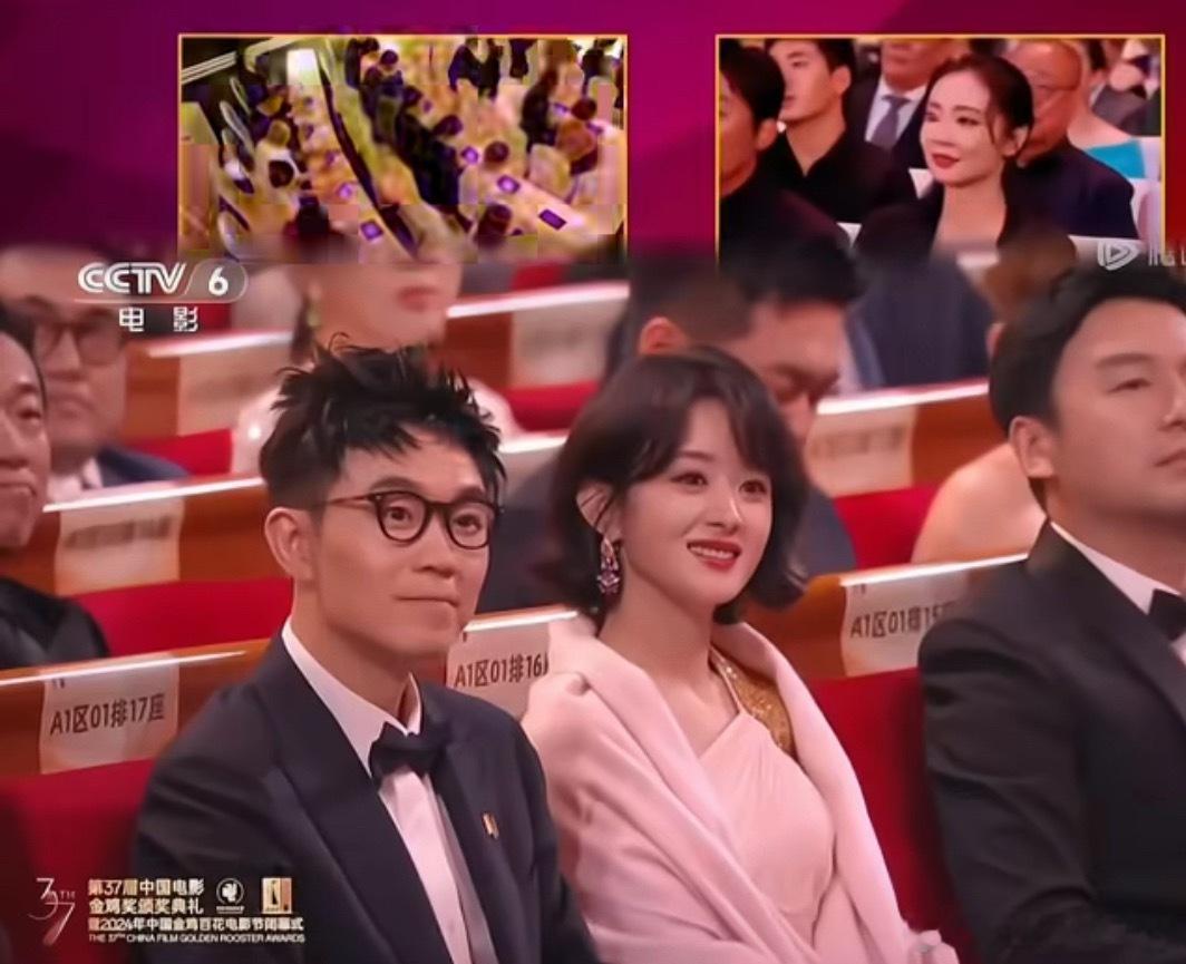 赵丽颖百花奖首提即中赵丽颖凭借电影《第二十条》中一角，在第37届大众电影百花奖上
