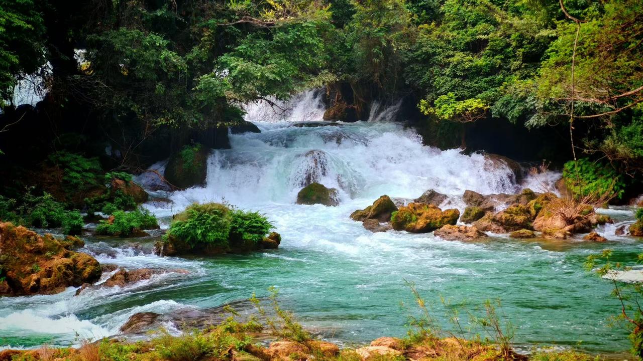 🌊森林把所有的绿都揉进溪水里，瀑布是从山的心事里奔涌而出的白。
💚流水撞碎在