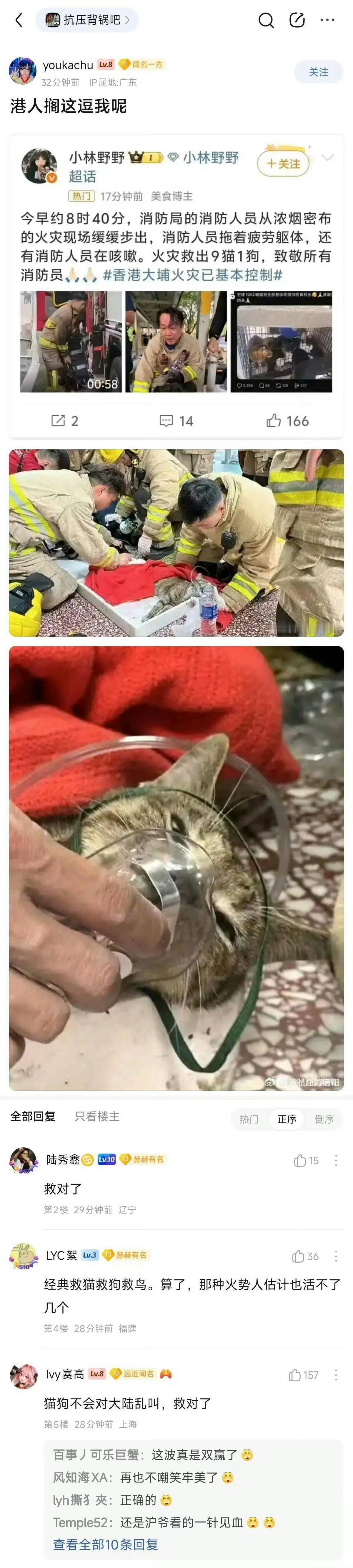 香港火灾，救猫救狗 
