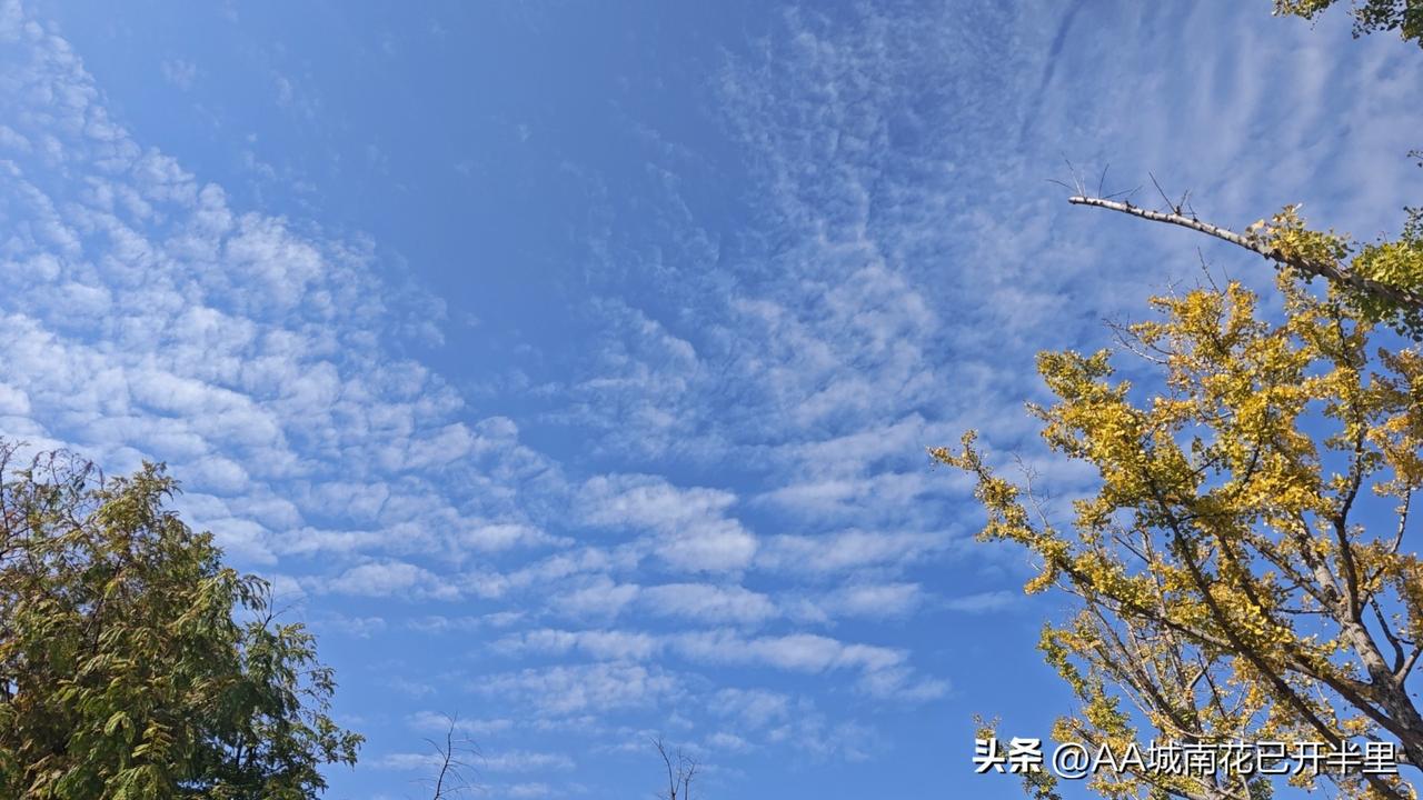 初中就喜欢一个人，但是那时候要以学习为主。
高中分开了，去了不同的学校，那个年代