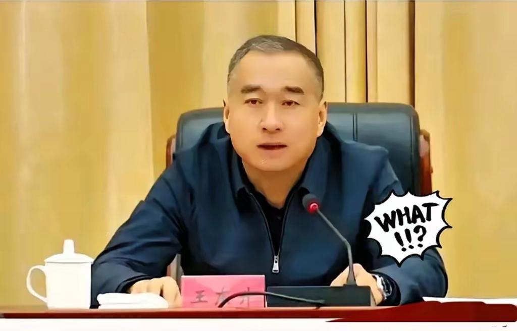 消息一出，朋友圈炸了。
王东升被查，很多人第一反应是：不会吧？那个天天跑项目、搞