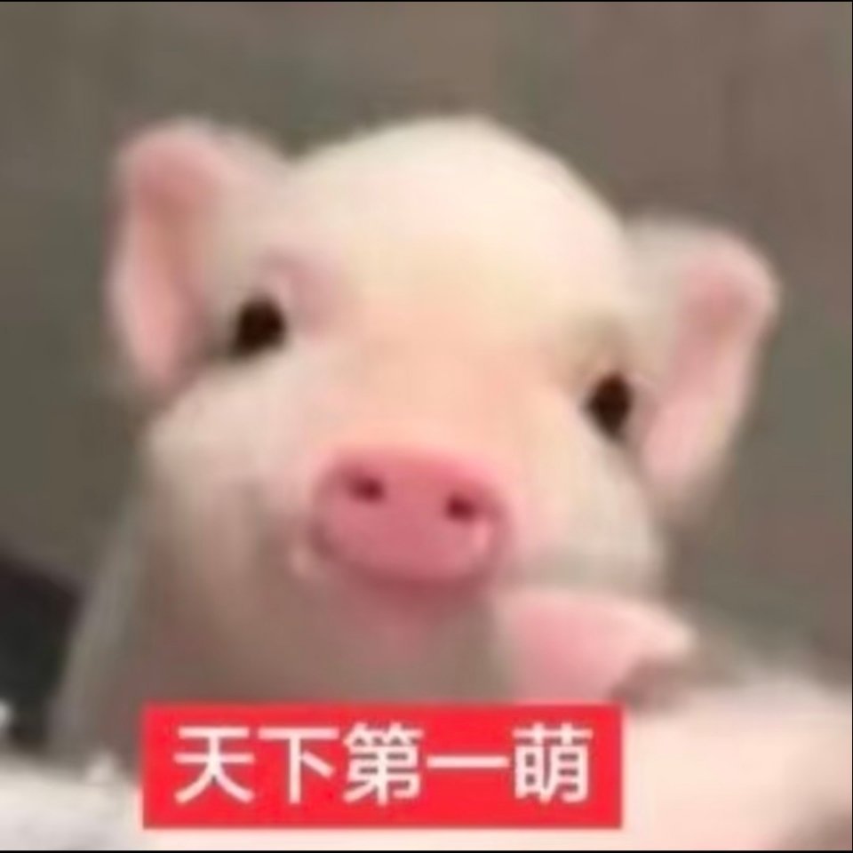 不追朱一龙的人生还有什么意义 ​​​