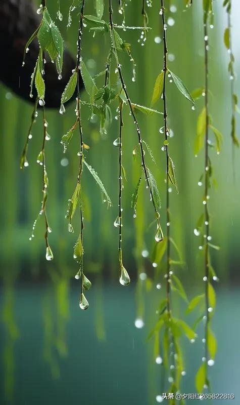 上联:春风慢吻花千树
下联:夏雨轻拂柳万枝