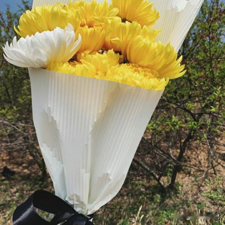 今天是2026年的清明节。清明节是怎么算的呢？就是4月份的第一个星期日就是清明节