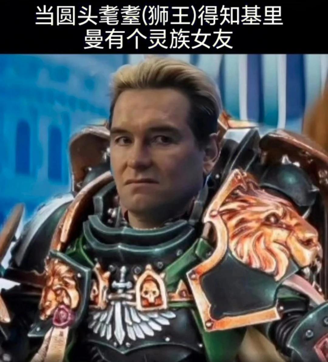 没这么和蔼[嘻嘻R]战锤40k 星际战士 弔图