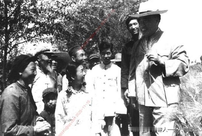 1958年7月，朱德视察西宁市郊区。