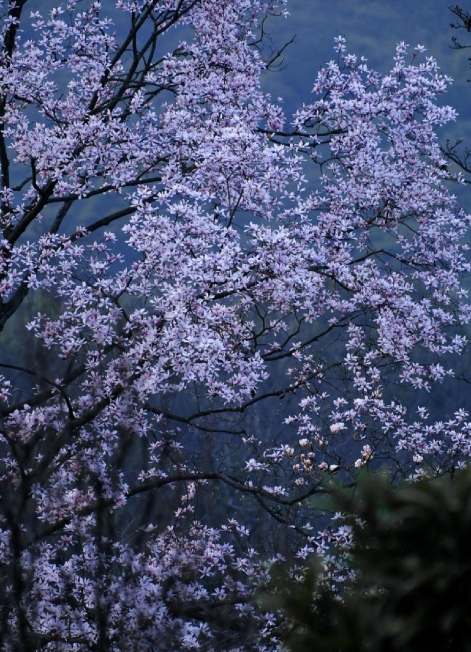 缺钱和缺爱，这俩问题就像两座大山，压得人喘不过气。怕缺钱，是怕生活没了底气，一顿