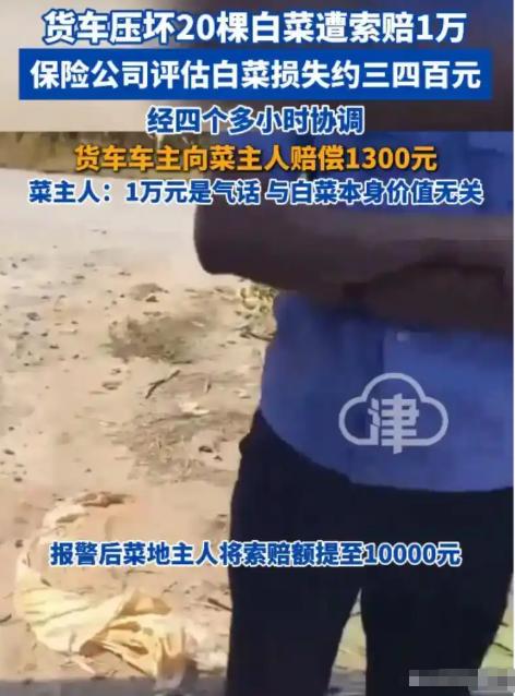 辽宁辽阳，一男子倒车时不慎压坏20多颗白菜，菜主张口就要5000元赔偿。男子报警