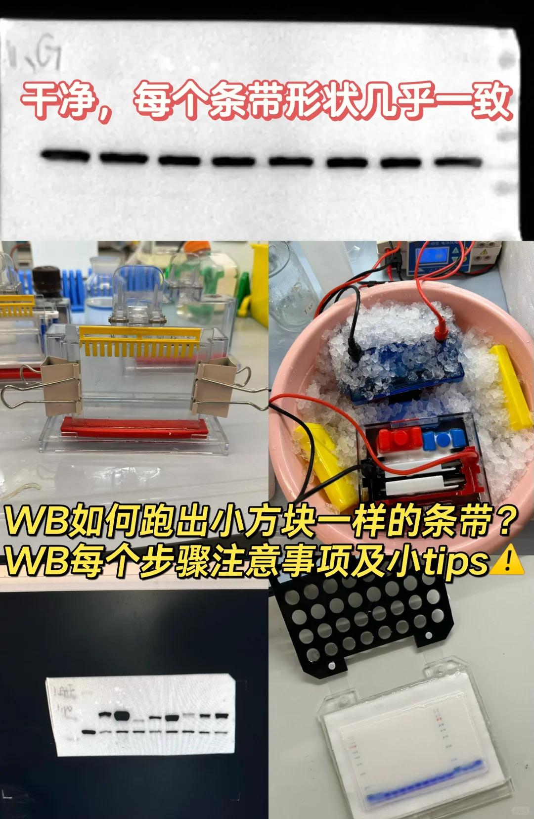 WB每个步骤注意事项和小tips⚠️码住！！！