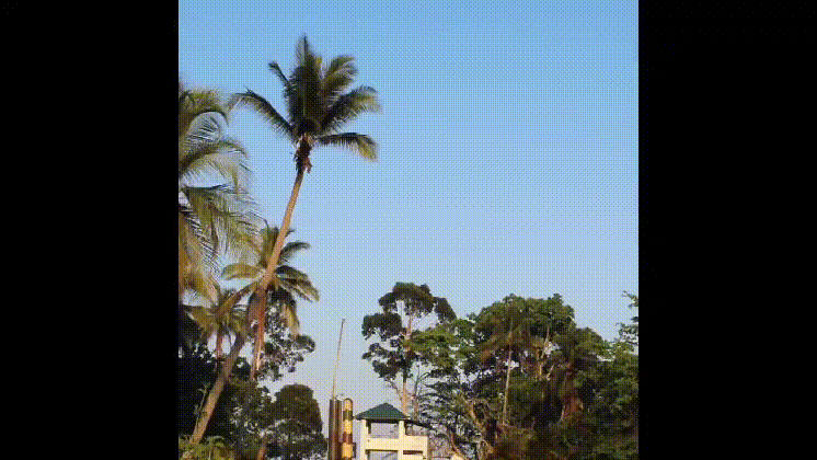 印军在安达曼岛上又打了一发岸基布拉莫斯反舰弹，发射点和以前一样，弹库旁边： 11