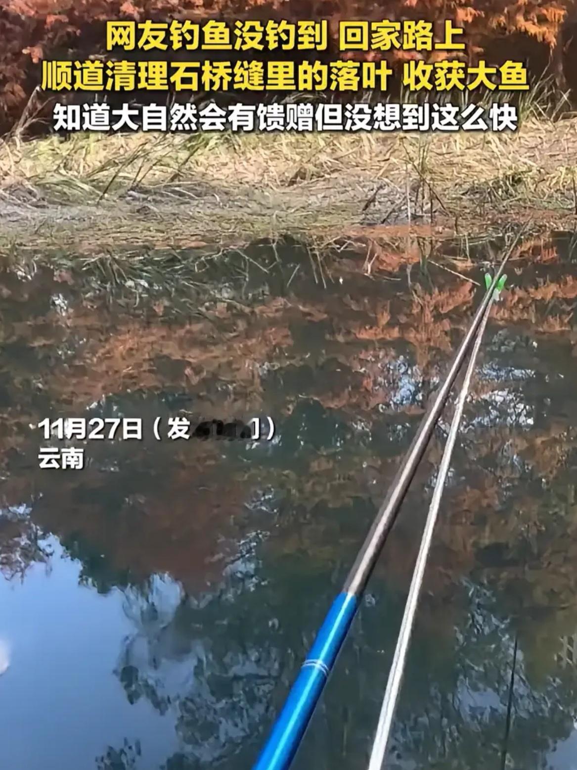云南一女的去钓鱼，坐一下午一条没上钩，收拾东西准备回家，路过石桥看见桥缝被树叶堵