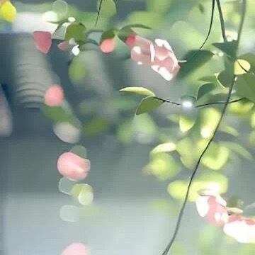 每日一善[超话]   | 阳光信用 【ygxy680 | 指路hui】做从未做的