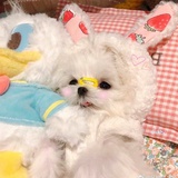 轩天热读