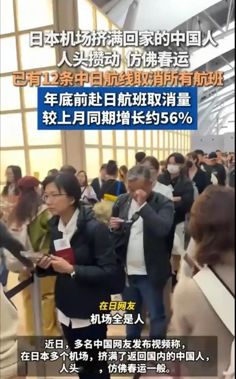 去日本旅游的回不来了！因为没有航班！就是好不容易抢到一张机票，票价也已经涨了几倍