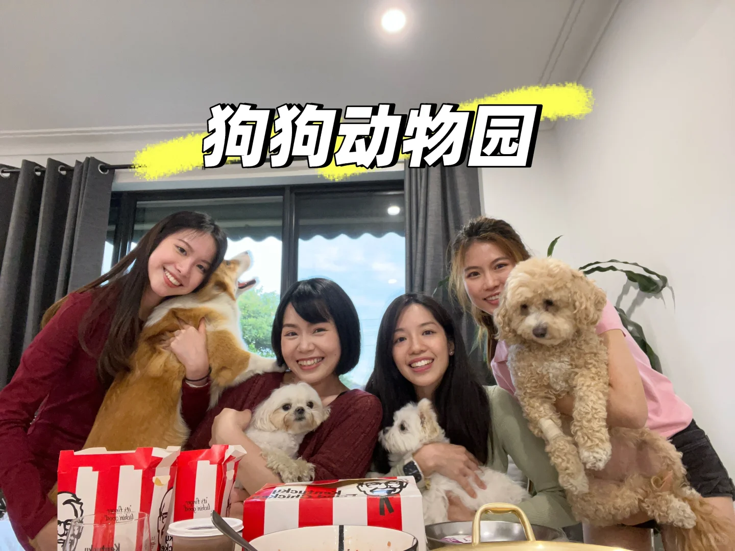 朋友们都很爱来我家