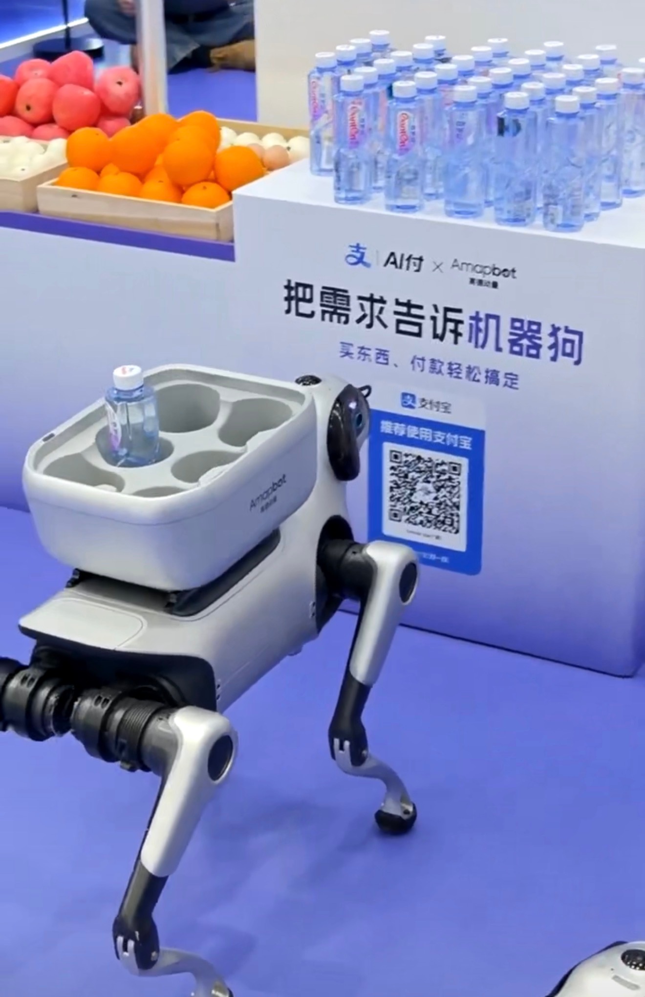 网友称狗腿付才是真接地气脑补2030年除夕，机器狗跑超市买回醋，春晚刚好开播。宠